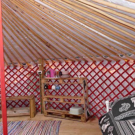 Alder Yurt Wych Elm Glamping Hotel Helston Buitenkant foto
