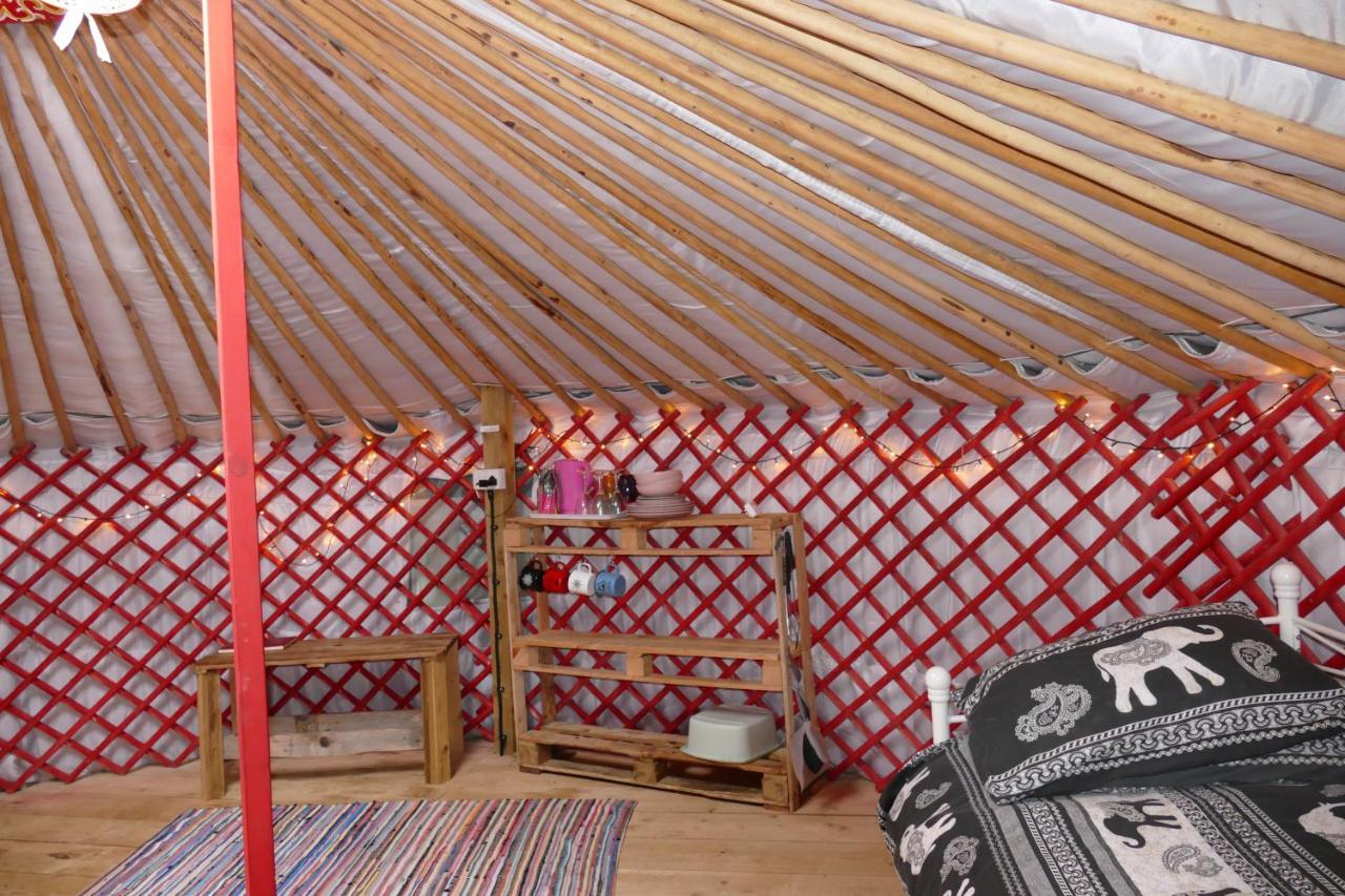 Alder Yurt Wych Elm Glamping Hotel Helston Buitenkant foto
