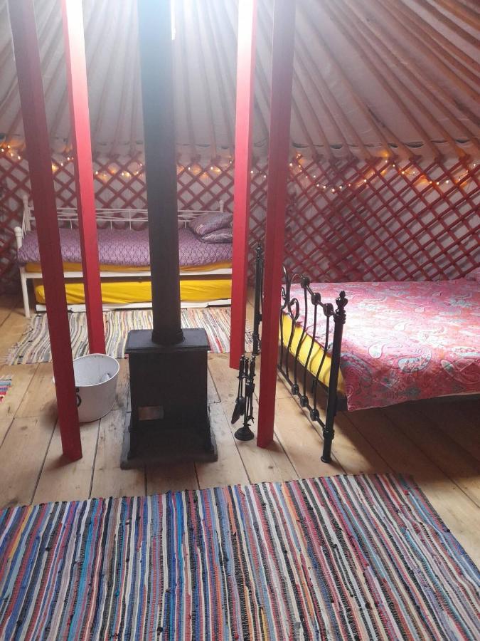 Alder Yurt Wych Elm Glamping Hotel Helston Buitenkant foto