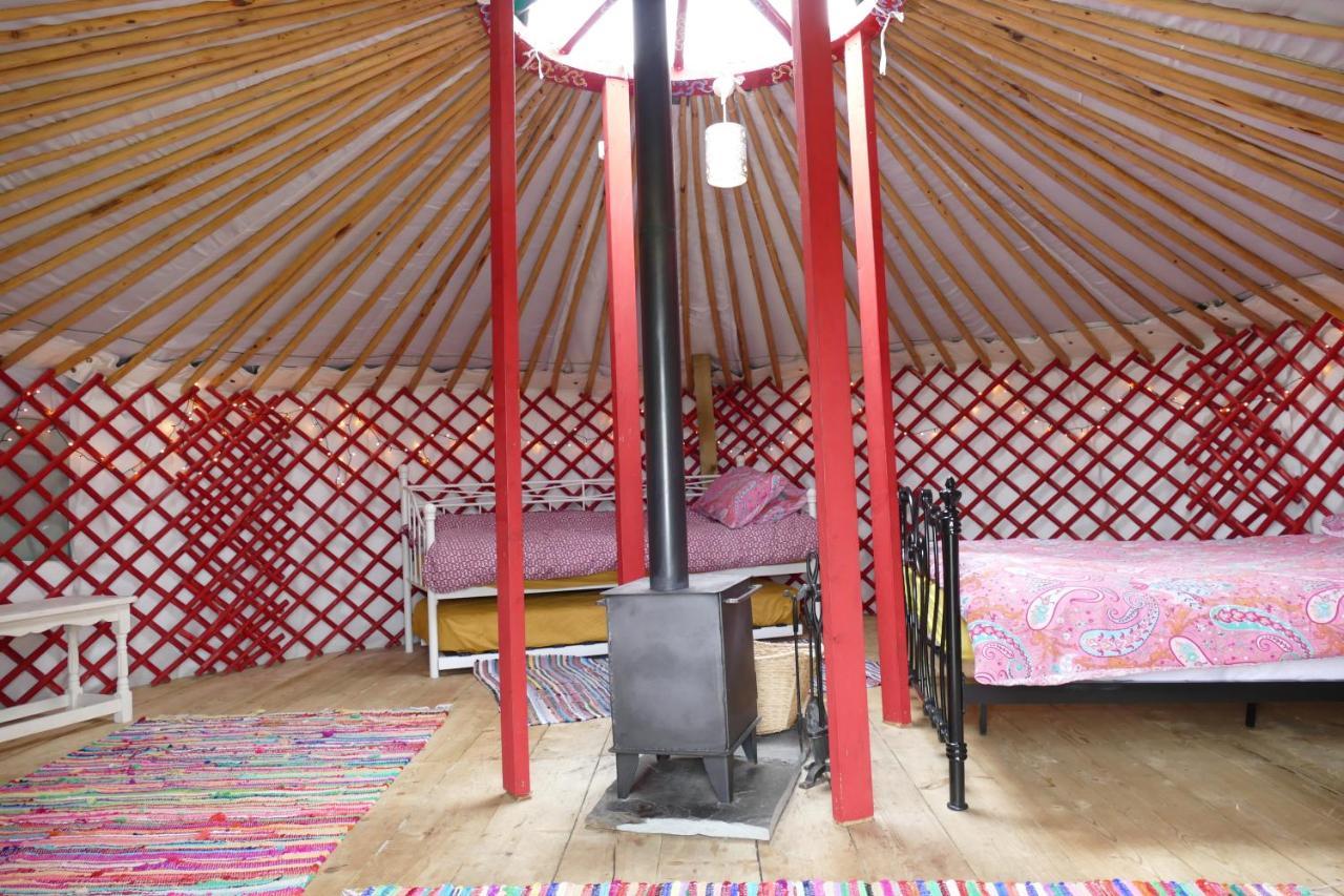 Alder Yurt Wych Elm Glamping Hotel Helston Buitenkant foto