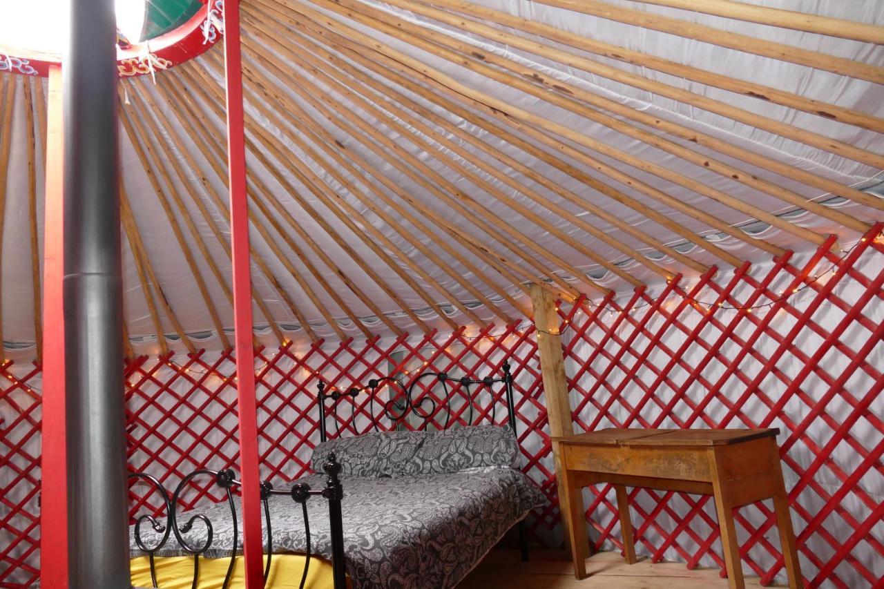 Alder Yurt Wych Elm Glamping Hotel Helston Buitenkant foto